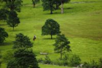 2015-06-24_04EngAbstieg (210).JPG